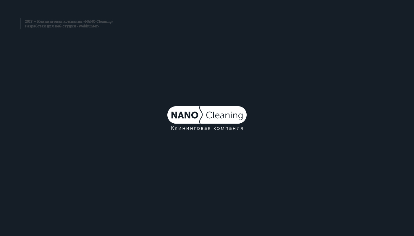 Логотип Nano Cleaning